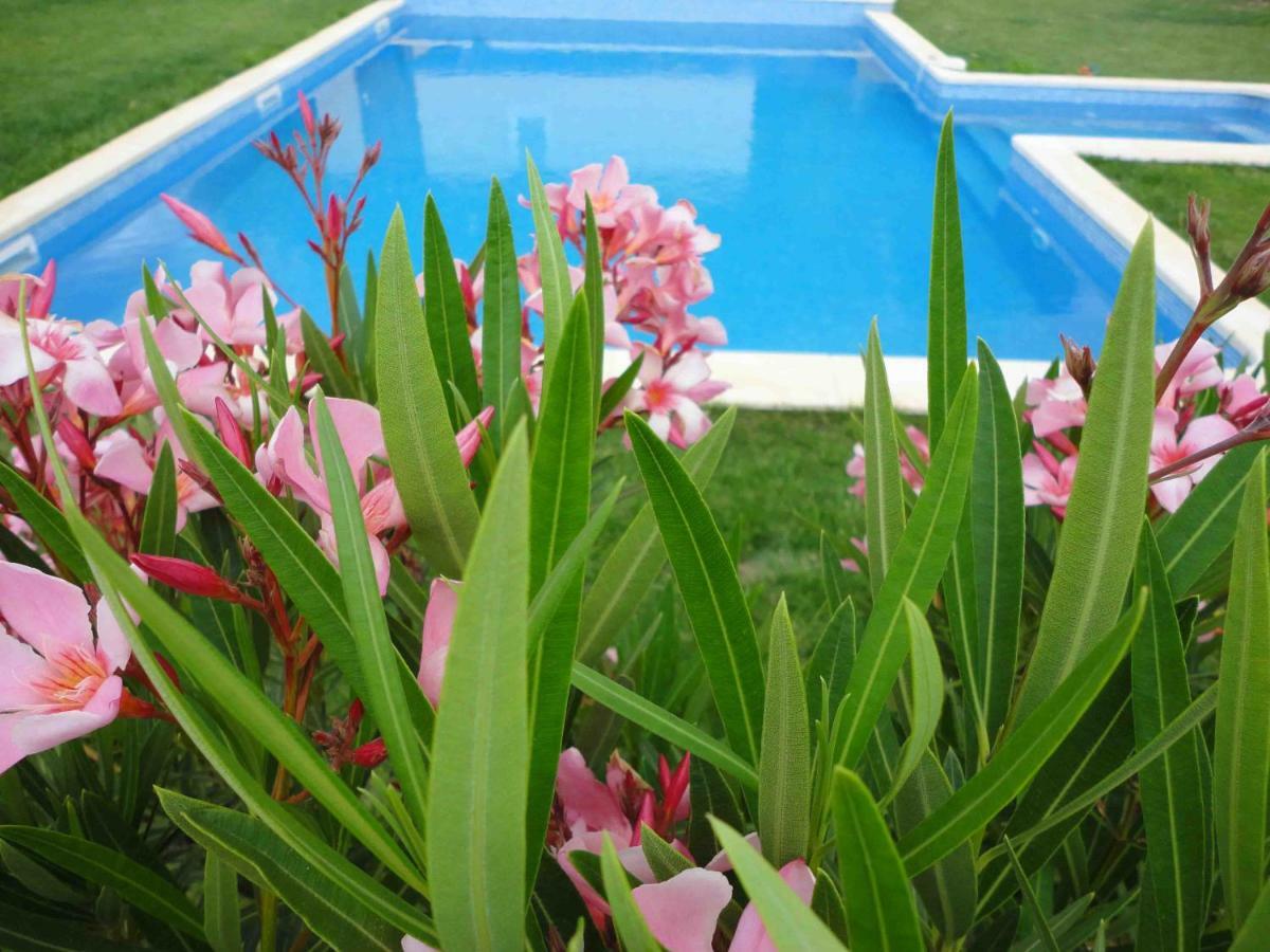 Villa La Charmeuse Fleurie Collias 外观 照片